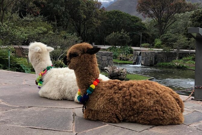 Half Day Tour in Cusco City - Inclusions and Exclusions