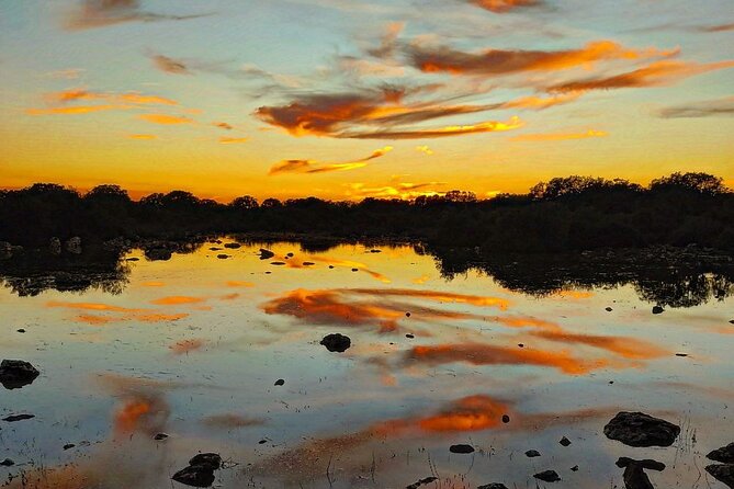 Half Day Tour in Giara of Gesturi - Booking Price and Options