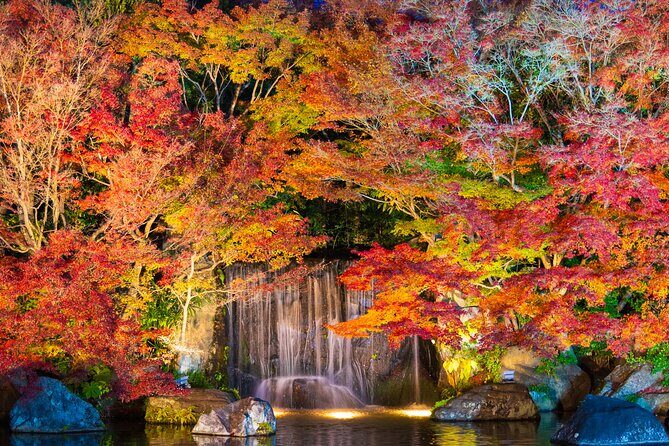 Half Day Tour in Himeji Castle and Koko-en - Authentic Traveler Insights