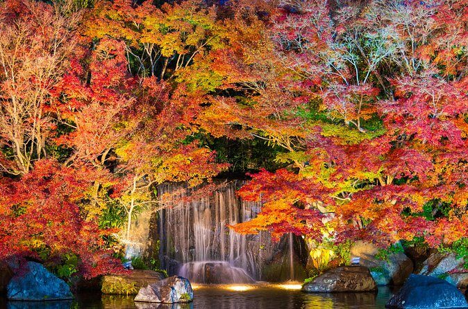 Half Day Tour in Himeji Castle and Koko-en - Final Thoughts