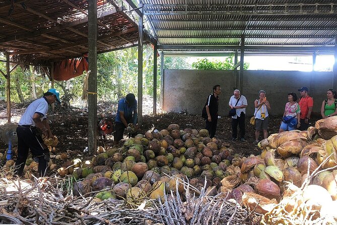 Half-Day Tour in Mekong Nam Bo Ben Tre - Boat Trip Experience