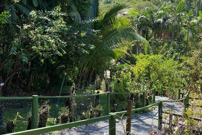 Half Day Tour in Nadi - Good To Know