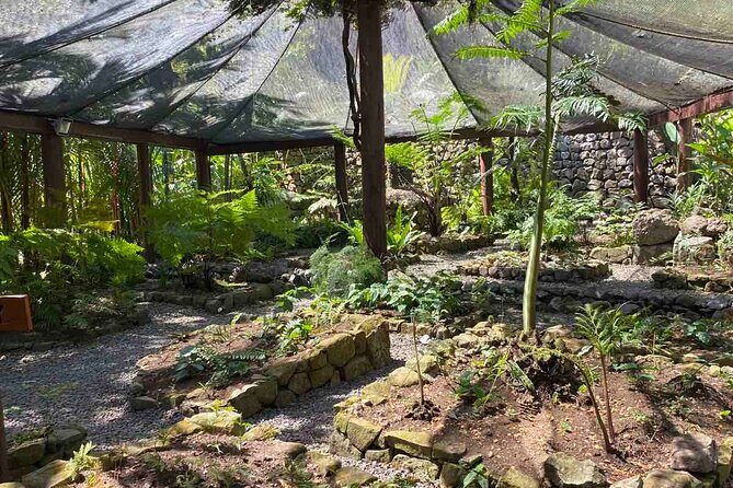 Half Day Tour in Nadi - Who Will Love This Tour