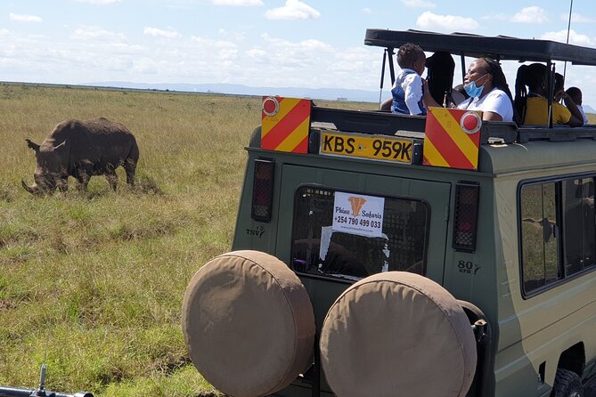 Half Day Tour in Nairobi National Park - Pickup and Meeting Details