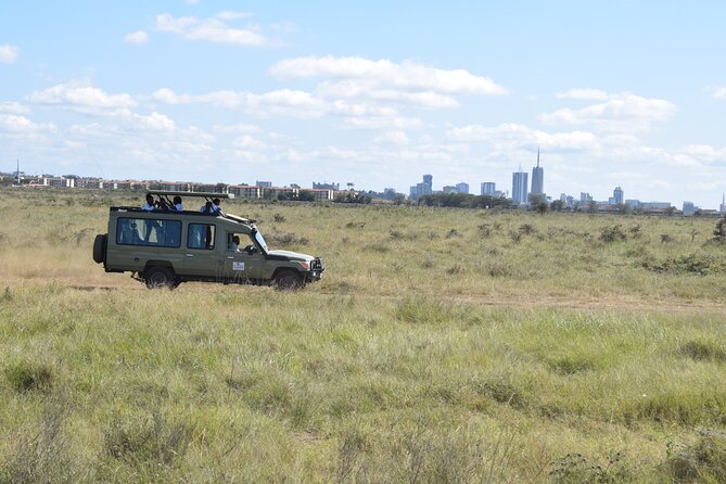 Half Day Tour in Nairobi National Park - Weather Considerations