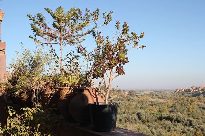 Half Day Tour in Ourika Valley and the Atlas Mountains - Itinerary Overview