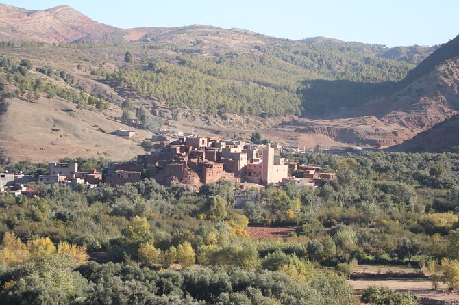 Half Day Tour in Ourika Valley and the Atlas Mountains - Common Questions