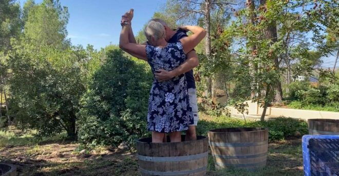 Half-Day Tour in Requena With Wine Tasting and Lunch! - Language Options