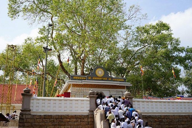 Half Day Tour - in Sacred City of Anuradhapura or Sacred City of Mihintale. - Highlights of the Sacred City of Anuradhapura