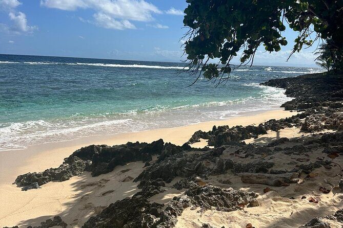 Half Day Tour in Samana with ATV Adventure - Why You Should Consider This Tour