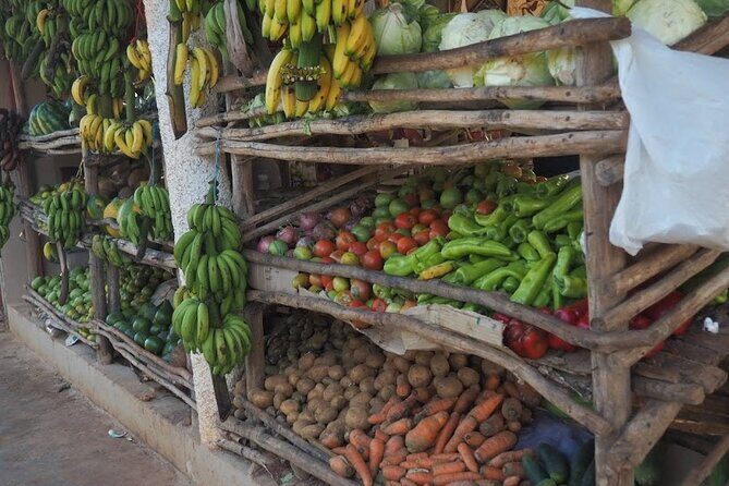 Half Day Tour in Samana with ATV Adventure - Frequently Asked Questions