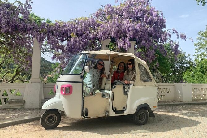 Half Day Tour in Sintra and the Coastline - Requirements and Restrictions