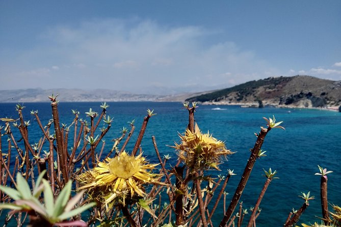 Half-day Tour in South Albania (Blue Eye, Lekursi Castle, Ksamil) - Reviews