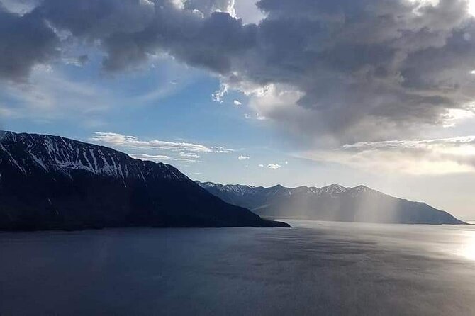 Half Day Tour in Turnagain Arm With Stop for Wildlife and Scenery - Tour Overview
