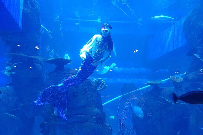 Half Day Tour Jakarta Aquarium and Pantai Indah Kapuk Jakarta - Introduction: A Snappy Look at the Jakarta Aquarium and Pantai Indah Kapuk Tour