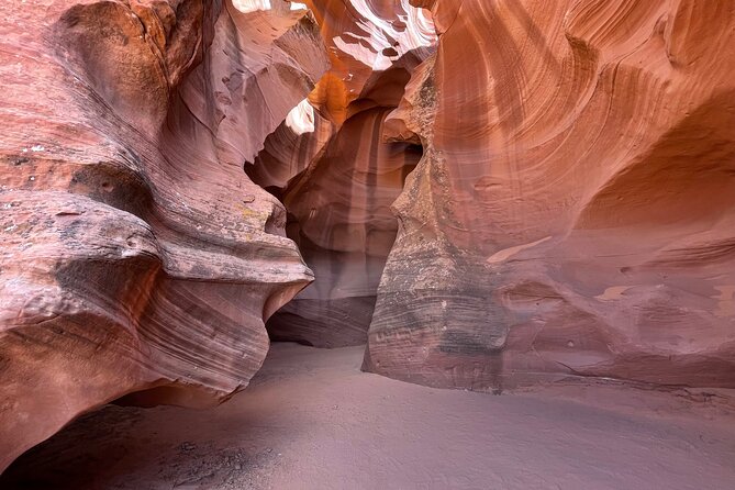 Half Day Tour of Mountain Sheep Canyon and Horseshoe Bend - Tour Highlights