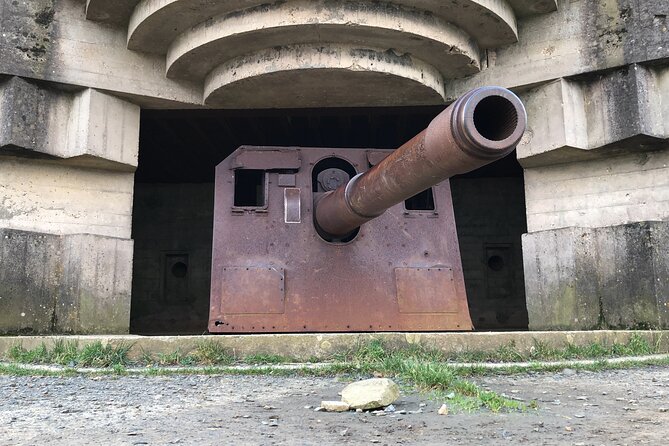 Half-Day Tour of Omaha Sector With a Professional Guide - Pickup Points