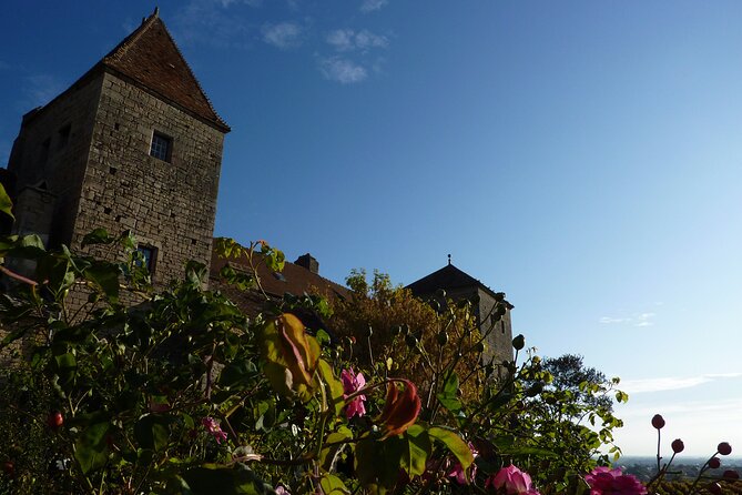 Half Day Tour of the Cote De Nuits Vineyards From Dijon - Common Questions