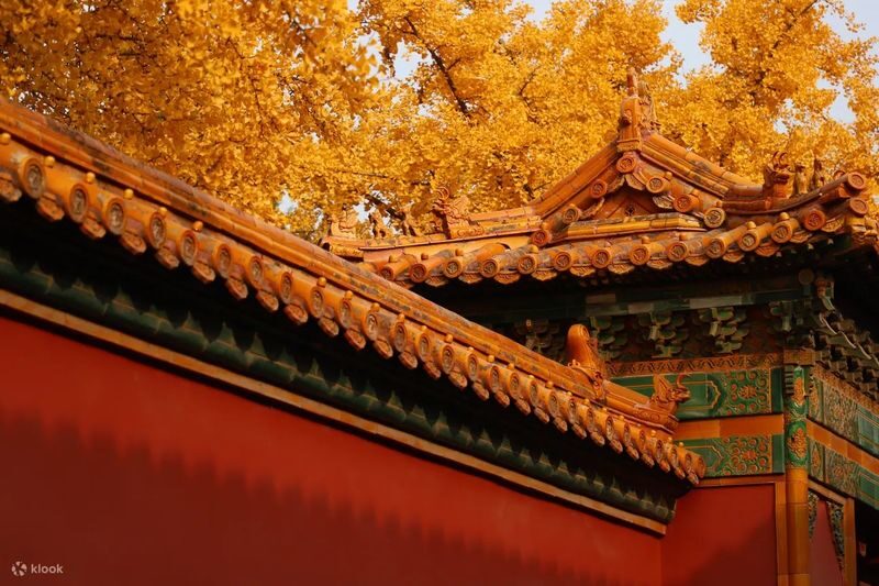 Half-Day Tour of the Forbidden City (Palace Museum) and Jingshan Park in Beijing - What the guide adds, and where the format can drag
