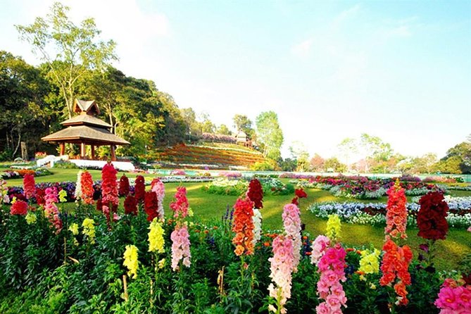 Half Day Tour of Wat Doi Suthep & Phu Ping Palace From Chiang Mai - Pricing and Guarantee