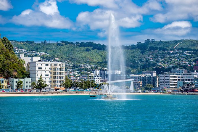 Half Day Tour of Wellington - Negative Review