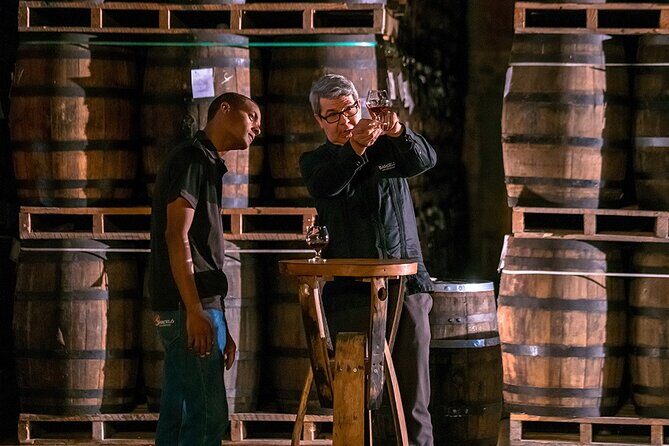 Half-Day Tour: Ron Barceló Factory Experience from Santo Domingo - Good To Know