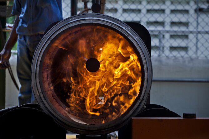 Half-Day Tour: Ron Barceló Factory Experience from Santo Domingo - Tasting the Spirit