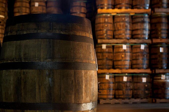 Half-Day Tour: Ron Barceló Factory Experience from Santo Domingo - What We’ve Learned from Reviews