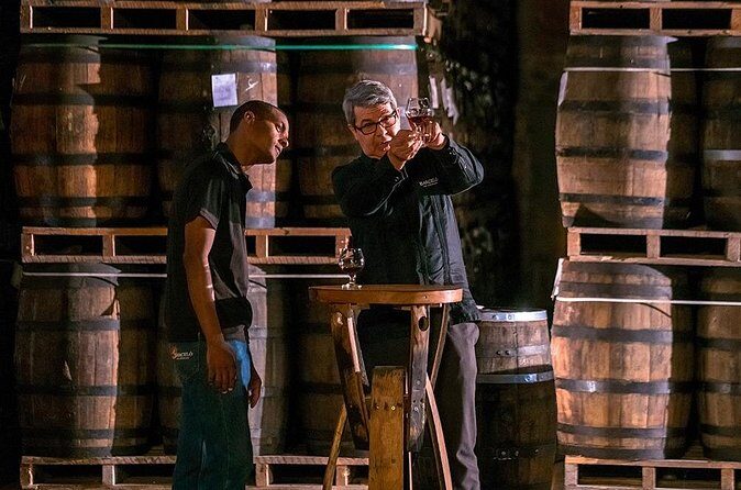 Half-Day Tour: Ron Barceló Factory Experience from Santo Domingo - Who Is This Tour Best For?