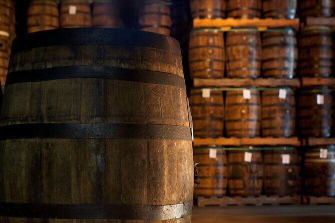 Half-Day Tour: Ron Barceló Factory Experience from Santo Domingo - FAQ