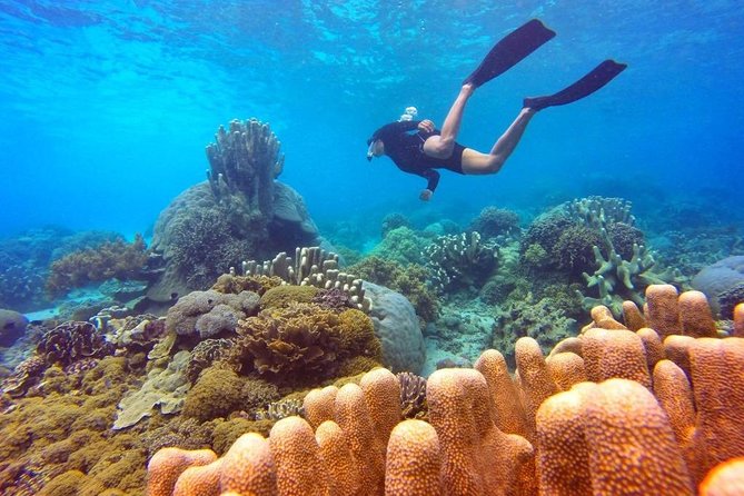 Half Day Tour Snorkeling in Nha Trang Bay Included Lunch - Tour Details and Highlights