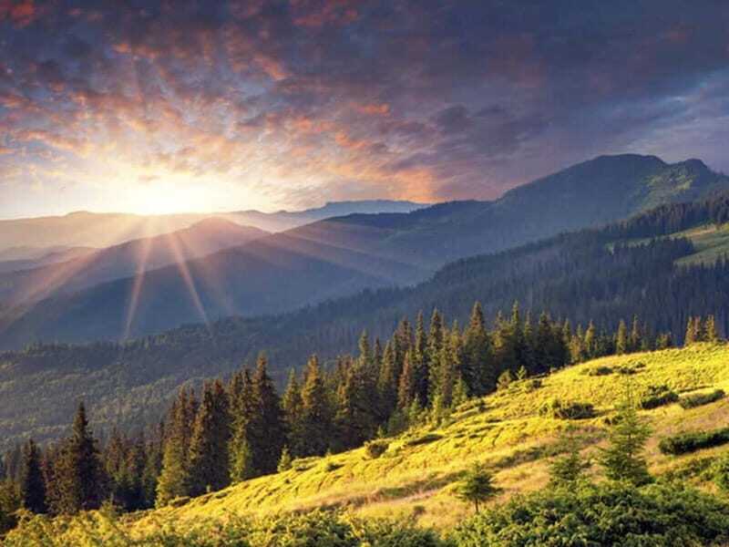 Half Day Tour - Sofia and the mountains with Thermal Spa - Lunch and the Cultural Flavour