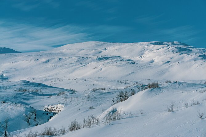 Half-Day Tour to Abisko From Kiruna: Snowshoe Hike - Tour Pricing and Copyright Information