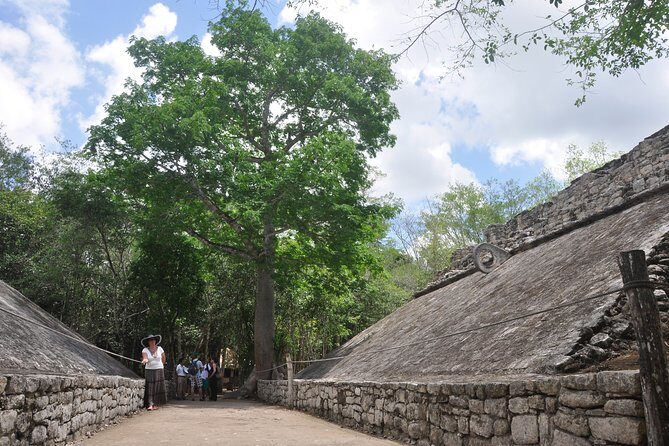 Half-Day Tour to Ancient Coba Ruins and Swim at Mayan Cenote - Refreshing Swim at a Mayan Cenote