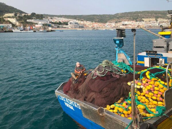 Half-Day Tour to Arrabida From Sesimbra With Wine Tasting - Additional Information