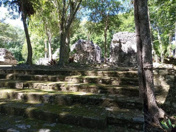 Half Day Tour to Becan Mayan Ruins From Bacalar or Chetumal - Customer Feedback