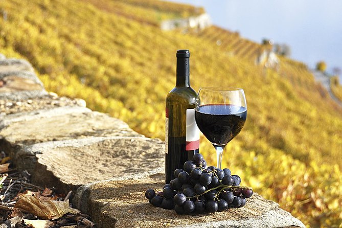 HALF-DAY Tour to Chianti Wine Region: CHIANTI COLORS & FLAVORS - Itinerary Overview