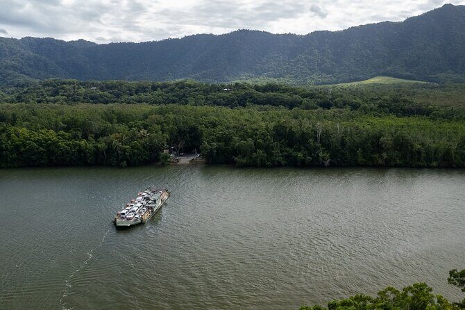 Half Day Tour to Daintree Rainforest and Mossman Gorge - Who Should Consider This Tour?