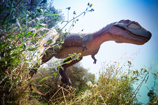 Half Day Tour to Dinosaur Land in Mallorca - Additional Information