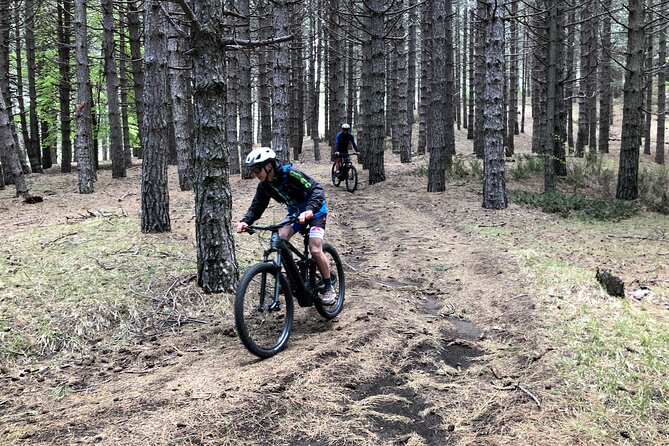 Half Day Tour to Discover Etna by E-Mtb - Cancellation Policy