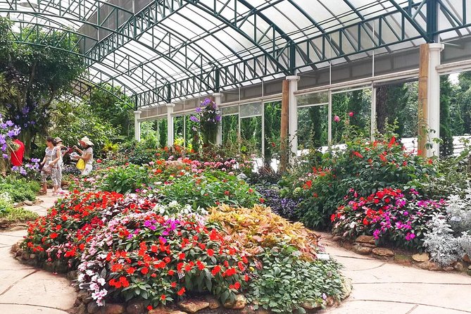 Half Day Tour to Doi Suthep and Phuping Palace From Chiang Mai - Expert Guides