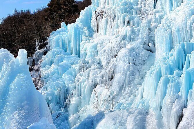 Half Day Tour to Eobi Ice Valley and Nami Island - Who Is This Tour Best For?