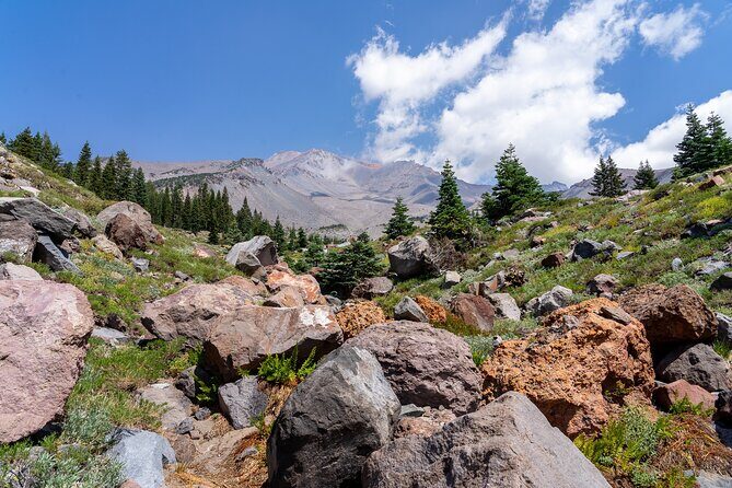 Half Day Tour to Faery Waterfalls, Castle Lake and Mount Shasta - Good To Know  