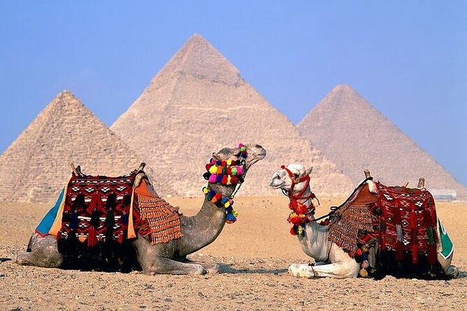 Half Day Tour To Giza Pyramids And Sphinx - Tour Itinerary