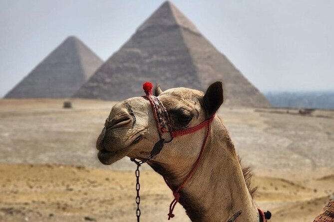 Half Day Tour To Giza Pyramids And Sphinx - Tour Inclusions