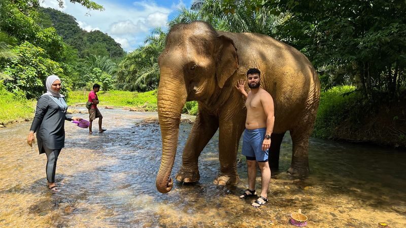 Half-Day Tour to Krabi Elephant Care House Experience - A Half-Day With Elephants, Not a Riding Tour