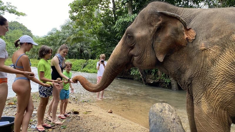 Half-Day Tour to Krabi Elephant Care House Experience - Who Will Enjoy This Visit