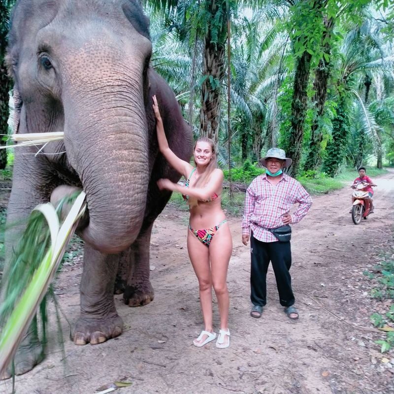 Half-Day Tour to Krabi Elephant Care House Experience - Should You Book the Krabi Elephant Care House Tour?