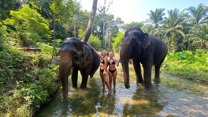 Half-Day Tour to Krabi Elephant Care House & Swimming at Huay To Waterfall - From the jungle trail to the elephant area