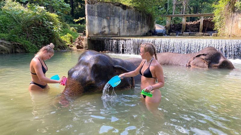 Half-Day Tour to Krabi Elephant Care House & Swimming at Huay To Waterfall - Making food and meeting the elephants